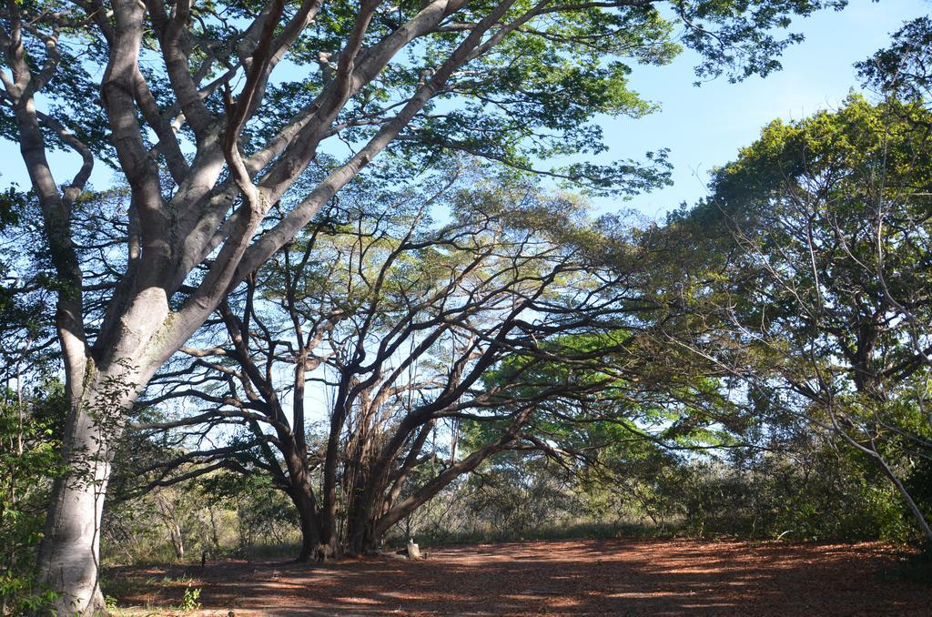 Pousada Terras Do Poente Vale do Capao Luaran gambar